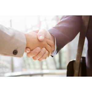 Handshake between two business people