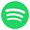 Spotify icon