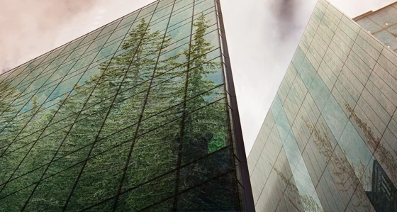 Trees reflected in modern glass-fronted buildings