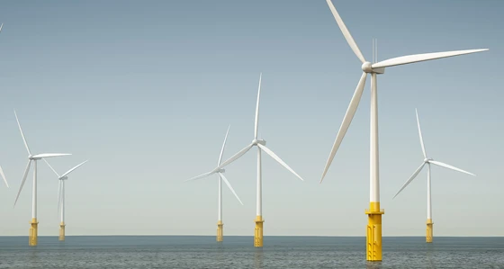 An offshore wind farm
